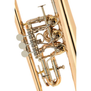 Флюгельгорн Peter Oberrauch Rosengarten Flgh 10,95 raw