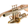 АР Resonance Estrema Bb-Тромбон AR Resonance Estrema Bb-Trumpet
