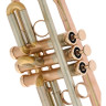 АР Resonance Estrema Bb-Тромбон AR Resonance Estrema Bb-Trumpet