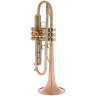 АР Resonance Estrema Bb-Тромбон AR Resonance Estrema Bb-Trumpet