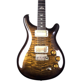 PRS DGT Birds Black Gold Burst '24