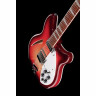 Rickenbacker 360/12 FG Rickenbacker 360/12 FG