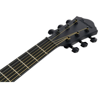 Иbanez AEWC621L-BOT Ibanez AEWC621L-BOT