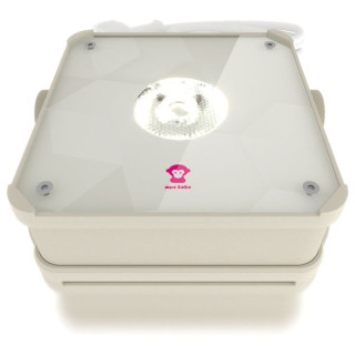 Ape Labs ApeLight mini V2 (C) Single C Ape Labs ApeLight mini V2 (C) Single C