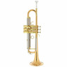 Schagerl TR-620L Bb-Труба Schagerl TR-620L Bb-Trumpet