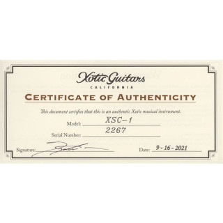 Гитары Xotic XSC-1 Gold Lime RW светлой выдержки Xotic Guitars XSC-1 Gold Lime RW Light Aged