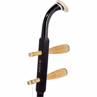 Артино Марко Поло практикует Эрху Artino Marco Polo Practice Erhu