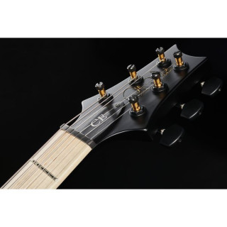 PRS PRS CE 24 Дасти Варинг HT ZA PRS PRS CE 24 Dustie Waring HT ZA