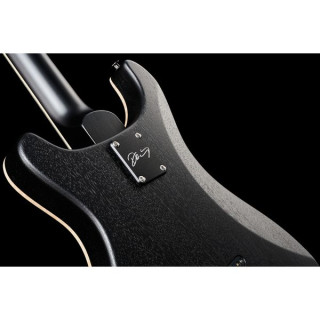 PRS PRS CE 24 Дасти Варинг HT ZA PRS PRS CE 24 Dustie Waring HT ZA
