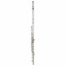 Флейта Muramatsu DS-RCEOH Flute Handmade Muramatsu DS-RCEOH Flute Handmade