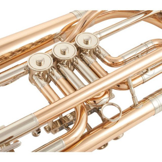 Cerveny CTR 792-3 Бас-труба Cerveny CTR 792-3 Bass Trumpet
