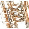 Cerveny CTR 792-3 Бас-труба Cerveny CTR 792-3 Bass Trumpet