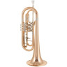 Cerveny CTR 792-3 Бас-труба Cerveny CTR 792-3 Bass Trumpet