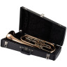 Cerveny CTR 792-3 Бас-труба Cerveny CTR 792-3 Bass Trumpet