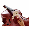Контрабас Scala Vilagio Double Bass Bernardel IB Scala Vilagio Double Bass Bernardel IB