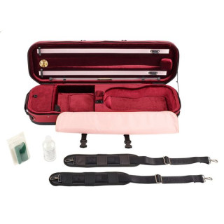 Артонус Джистон Скрипка BB Artonus Geeston Violin BB