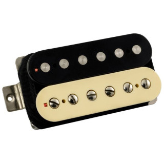 Фридман Classic Plus Humbucker Br. Zebra Friedman Classic Plus Humb. Br. Zebra
