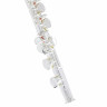 Флейта Thomann FL-200C Flute