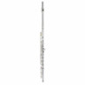 Флейта Thomann FL-200C Flute