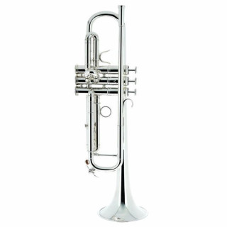 Латунь Adams A3 060 Selected SP Adams A3 Brass 060 Selected SP