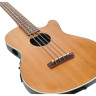 Укулеле Aquila SB60-FR ShortbassOne Aquila SB60-FR ShortbassOne