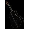 Yamaha LL 16 D A.R.E BL Yamaha LL 16 D A.R.E BL