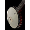 Диринг Вега Сенатор - 5-струнное банджо Deering Vega Senator 5-String Banjo