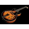 Ibanez GB10SE-BS Джордж Бенсон Ibanez GB10SE-BS George Benson