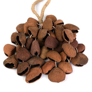 Села Сeed Shaker 4-Ряд Пангi Sela Seed Shaker 4-Row Pangi