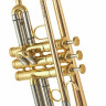 Труба Schagerl Las Vegas L Bb-Trumpet Schagerl Las Vegas L Bb-Trumpet