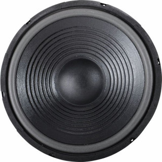 встроенный 12-дюймовый динамик для TT305-H the box 12" Speaker for TT305-H