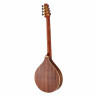 Thomann Художник ирландец Бузуки WLN Thomann Artist Irish Bouzouki WLN