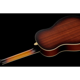 Резонаторная гитара Royall DLT12/DSB Delta