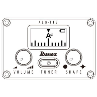 Иbanez AEG1221-BOT Ibanez AEG1221-BOT