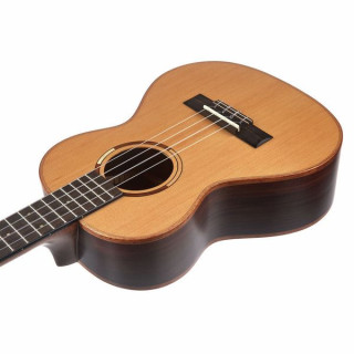 Гавайская гитара Kala Ferro Tenor Kala Ferro Tenor Ukulele