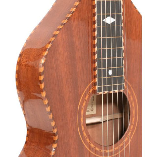 Слайд-гитара Gold Tone SM+ Weissenborn