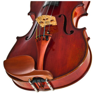 Истман Андреас Истман Скрипка VL405 Eastman Andreas Eastman Violin VL405