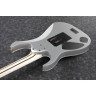 Электрогитара Ibanez RG5170G-SVF Ibanez RG5170G-SVF