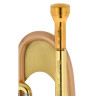 Тейлор Trumpets Chicago Custom Bb-Труба Taylor Trumpets Chicago Custom Bb-Trumpet