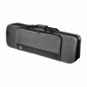 Скрипка в наборе Stentor SR1550 Conservatoire 4/4 Stentor SR1550 Conservatoire 4/4