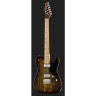 Электрогитара Harley Benton TE-90FLT Orange Blast Bundle №537000 (Комплект)