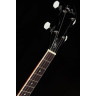 Банджо Harley Benton HBJ-24 Short Scale Tenor Banjo
