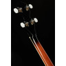 Банджо Harley Benton HBJ-24 Short Scale Tenor Banjo