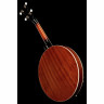 Банджо Harley Benton HBJ-24 Short Scale Tenor Banjo