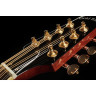 Мандолина золотого тона M-800+ октава Gold Tone M-800+ Octave Mandoline
