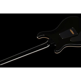 PRS Custom 24 ГБ PRS Custom 24 GB