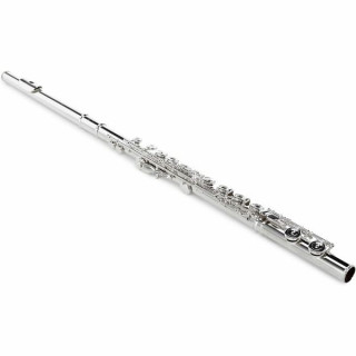 Флейта Altus AS-TS SRE Altus AS-TS SRE Flute
