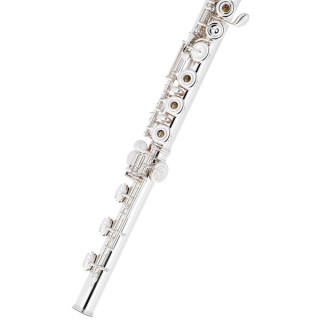 Флейта Altus AS-A13 RBEO-S Altus AS-A13 RBEO-S Flute