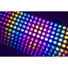 Светодиодная матрица Stairville Blinder 5x5 RGB WW Stairville LED Matrix Blinder 5x5 RGB WW
