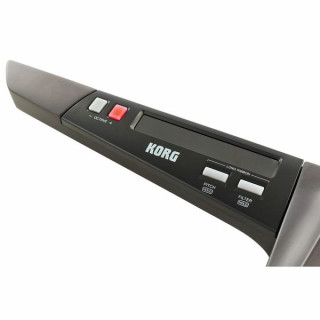 Korg RK-100S 2 черный Korg RK-100S 2 Black